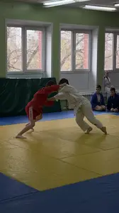 Первенство посвященное Дню Победы  «СУМО в стойке» 2018 г.р.