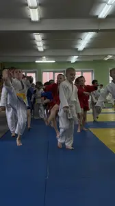 Первенство посвященное Дню Победы  по упрощенным правилам борьбы Дзюдо и Самбо 2016 г.р.