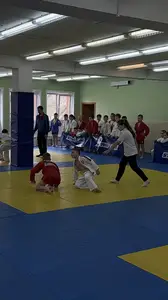 Первенство посвященное Дню Победы  по упрощенным правилам борьбы Дзюдо и Самбо 2016 г.р.