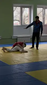 Первенство посвященное Дню Победы  по упрощенным правилам борьбы Дзюдо и Самбо 2016 г.р.
