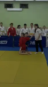 Первенство посвященное Дню Победы  по упрощенным правилам борьбы Дзюдо и Самбо 2016 г.р.